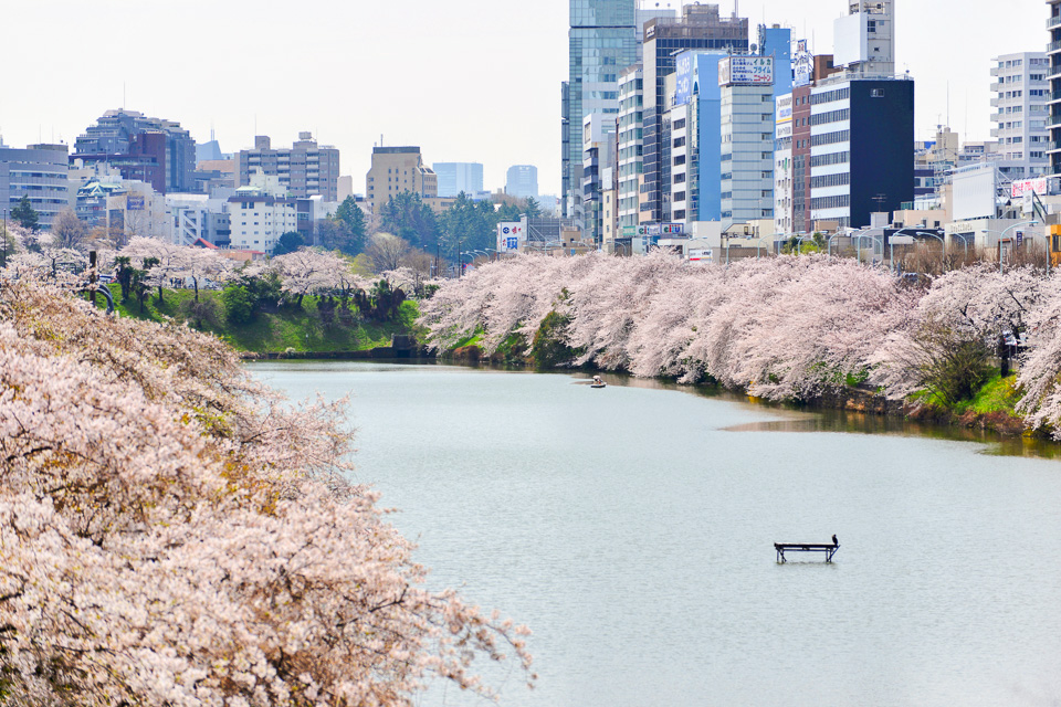 東京大神宮